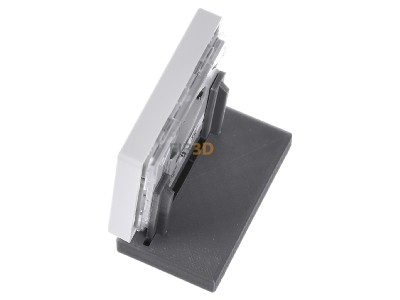 View top right Berker 85655229 EIB, KNX complete transmitter, 
