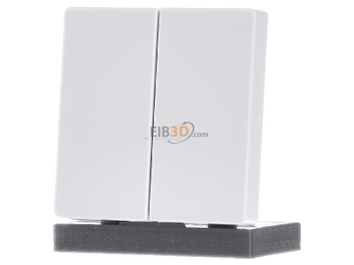 Front view Berker 85656229 EIB, KNX complete transmitter, 
