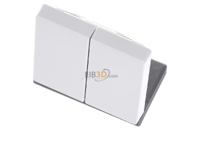 View up front Berker 85656229 EIB, KNX complete transmitter, 
