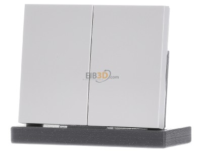 Front view Berker 85656279 EIB, KNX complete transmitter, 
