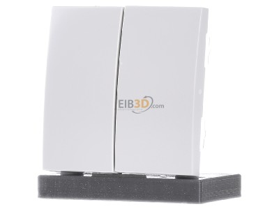 Front view Berker 85656289 EIB, KNX complete transmitter, 
