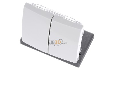 View up front Berker 85656289 EIB, KNX complete transmitter, 
