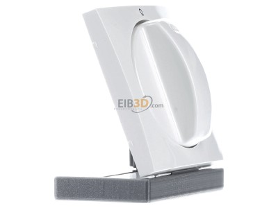 View on the left Peha D 11.610.02 S3 Cover plate for level switch white 

