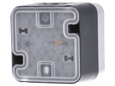 Back view Berker 12033535 Multimedia end box for antenna 
