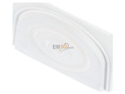 View up front Berker 18143512 Cable entry closed white 
