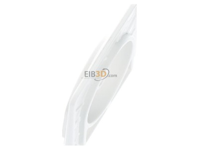 View top right Berker 18143512 Cable entry closed white 
