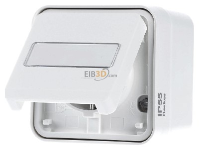 Front view Berker 47413512 Socket outlet (receptacle) 
