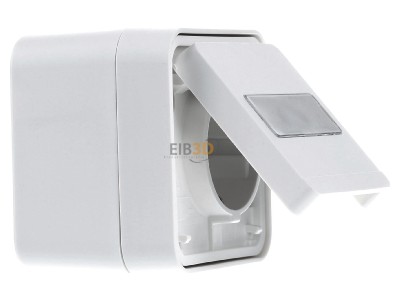 View on the left Berker 47413512 Socket outlet (receptacle) 

