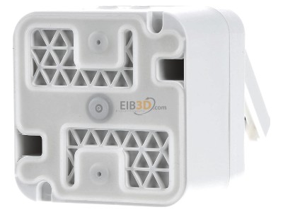 Back view Berker 47413512 Socket outlet (receptacle) 
