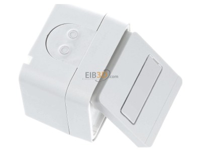 View top left Berker 47413512 Socket outlet (receptacle) 
