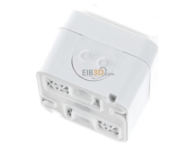 Top rear view Berker 47413512 Socket outlet (receptacle) 
