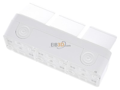 Ansicht oben hinten Berker 47733512 SCHUKO-Steckdose 3fach Klappdeck. polarwei� 