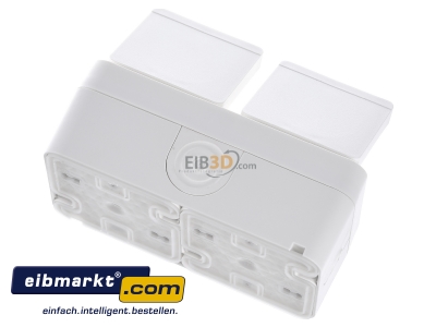 Ansicht oben hinten Berker 47753522 SCHUKO-Doppelsteckdose Klappdeck. polarwei� 