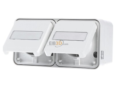 Front view Berker 47753532 Socket outlet (receptacle) 
