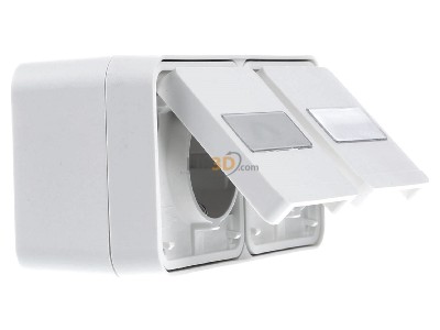 View on the left Berker 47753532 Socket outlet (receptacle) 
