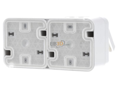 Back view Berker 47753532 Socket outlet (receptacle) 
