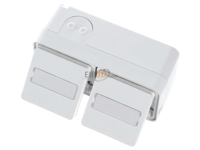 View up front Berker 47753532 Socket outlet (receptacle) 
