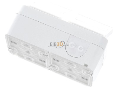 Top rear view Berker 47753532 Socket outlet (receptacle) 
