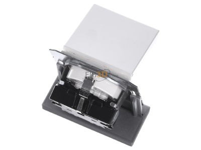 Ansicht oben hinten Jung A 1520 BF KL WW SCHUKO-Steckdose alpinwei� 
