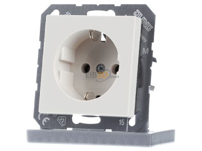 Front view Jung A 1520 N Socket outlet (receptacle) 
