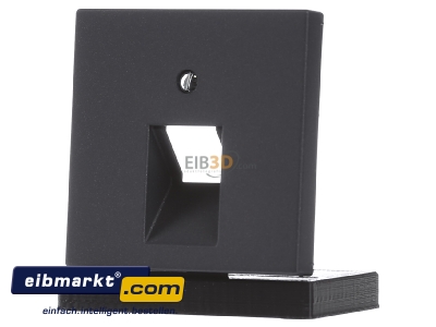 Frontansicht Jung A569-1BFPLUAANM Abdeckung f�r UAE-Dose anthrazit matt A 569-1 BF PL UA ANM