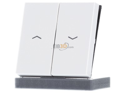 Frontansicht Jung A 595 BF P WW Wippe Symbole Pfeile 2-f alpinwei� 