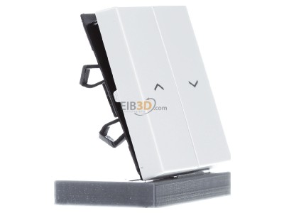 Ansicht links Jung A 595 BF P WW Wippe Symbole Pfeile 2-f alpinwei� 