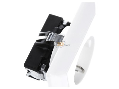 Ansicht oben links Jung AS 1520 WW SCHUKO-Steckdose alpinwei� 