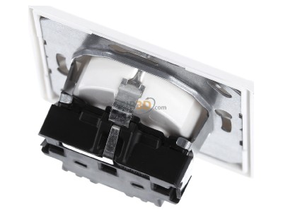 Ansicht oben hinten Jung AS 1520 WW SCHUKO-Steckdose alpinwei� 