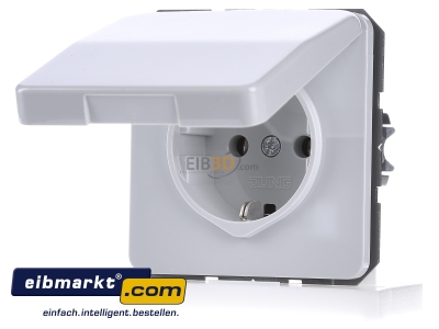 Frontansicht Jung CD 1520 BFKL LG SCHUKO-Steckdose lichtgrau 
