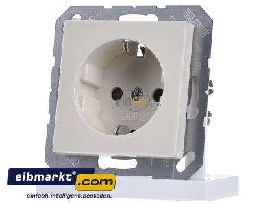 Front view Jung A 1520 BFKI Socket outlet protective contact
