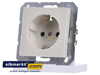 Frontansicht Jung A 1520 BFKI SCHUKO-Steckdose 16A�250V m.Ber�hrungsschutz 