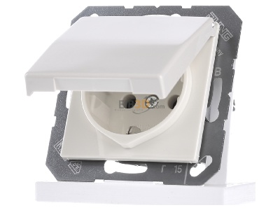 Front view Jung AS 1520 BFKL Socket outlet (receptacle) 
