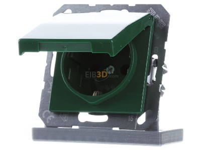 Front view Jung AS 1520 BFKL GN Socket outlet (receptacle) 
