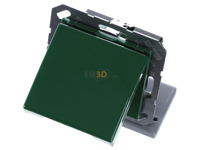 View up front Jung AS 1520 BFKL GN Socket outlet (receptacle) 
