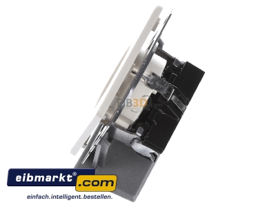 Ansicht oben rechts Jung CD1520BFKI SCHUKO-Steckdose 16A�250V m.Ber�hrungsschutz CD 1520 BFKI