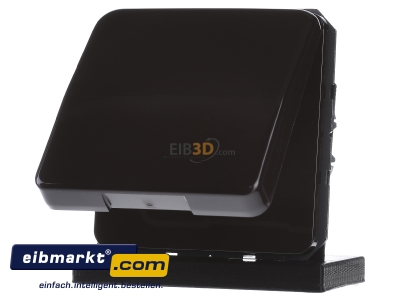 Frontansicht Jung CD 1520 BFKL BR SCHUKO-Steckdose 16A�250V Klappdeckel 