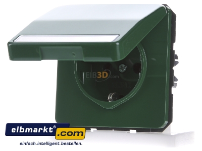 Frontansicht Jung CD1520BFNAKLGN SCHUKO-Steckdose 16A�250V Klappdeckel CD 1520 BFNAKL GN