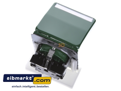 Ansicht oben hinten Jung CD1520BFNAKLGN SCHUKO-Steckdose 16A�250V Klappdeckel CD 1520 BFNAKL GN