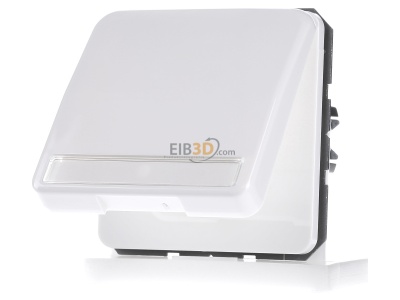 Frontansicht Jung CD 1520 BFNAKL WW SCHUKO-Steckdose 16A�250V Klappdeckel 