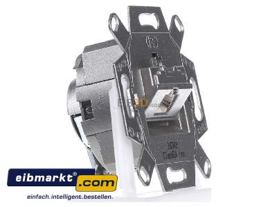 View on the left Berker 455401 RJ45 8(8) Data outlet Cat.6
