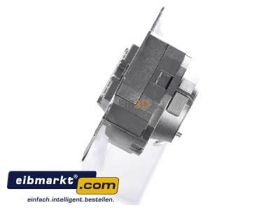 View top right Berker 455401 RJ45 8(8) Data outlet Cat.6
