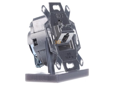 View on the left Merten MEG4530-0000 RJ45 8(8) Data outlet 6A (IEC) 
