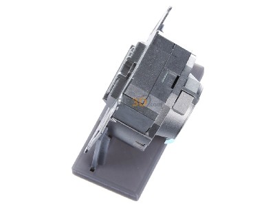 View top right Merten MEG4530-0000 RJ45 8(8) Data outlet 6A (IEC) 
