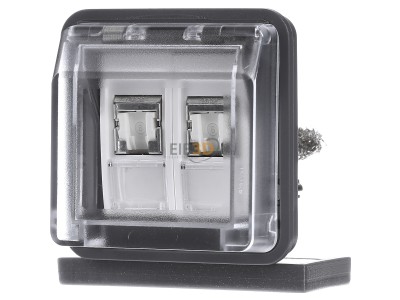 Front view Berker 14103505 2x RJ45 8(8) Data outlet Cat.6 grey 
