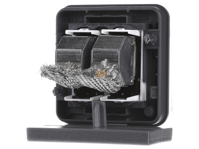 Back view Berker 14103505 2x RJ45 8(8) Data outlet Cat.6 grey 
