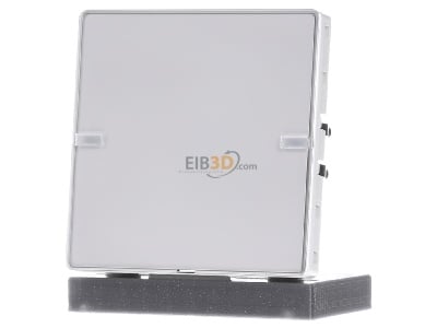 Front view Berker 80141329 EIB, KNX touch sensor 2-fold, 
