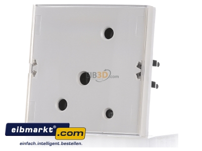 Front view Berker 80161780 Touch sensor for home automation 2-fold
