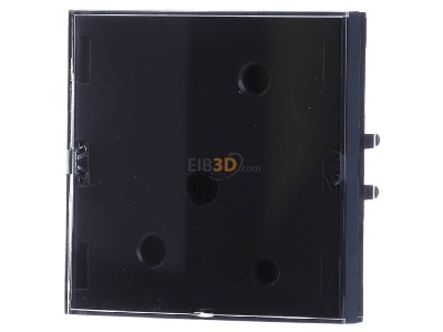 Front view Berker 80161785 EIB, KNX touch sensor 2-fold, 
