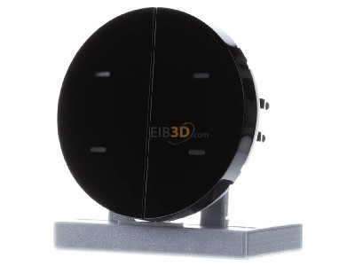 Frontansicht Berker 80162865 Tastsensor 2f. sw/gl 